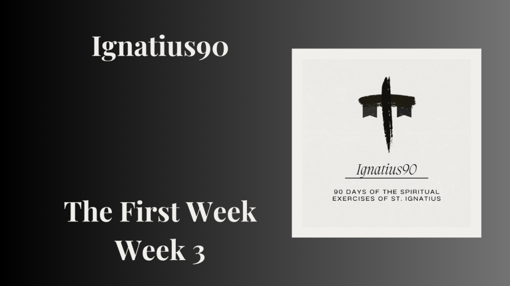 The First Week- Week&nbsp;3