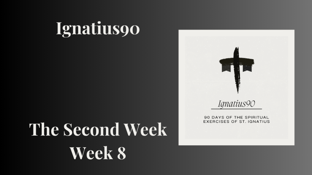 The Second Week- Week&nbsp;8